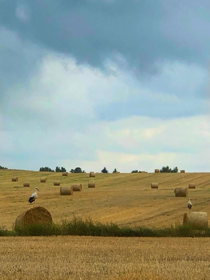 Agroturystyka „Nadbuzanski Swit” Wola Uhruska Exterior photo